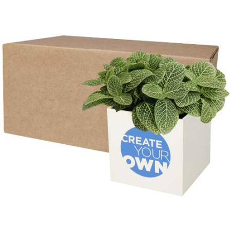 Pot publicitaire en aluminium avec plante grasse Hey&nbsp;Pots