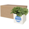 Pot publicitaire en aluminium avec plante grasse Hey Pots Pot publicitaire en aluminium avec plante grasse Hey Pots