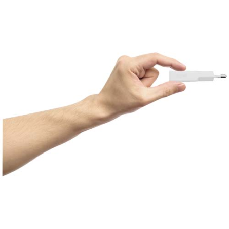 Chargeur personnalisé de 33&nbsp;W Xtorm XG2SL033 Go2 SlimLine