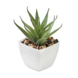 Mini plante publicitaire...