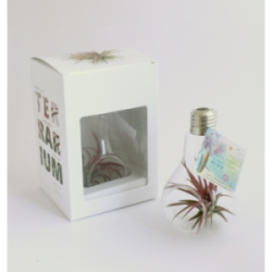 Terrarium publicitaire...