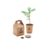 Kit personnalisable avec graine de pin dans une boîte en carton
