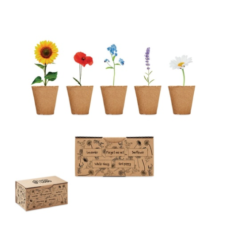 Kit personnalisable avec différents type de graines de fleurs à planter