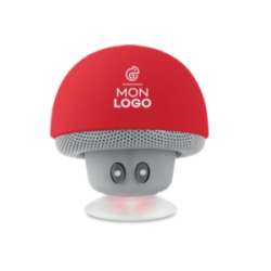 Enceinte personnalisable...