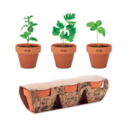 Ensemble de 3 pots en terre...