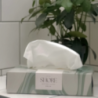 Boîte de 100 mouchoirs personnalisable en papier biodégradable - Made in Europe - Rectangle