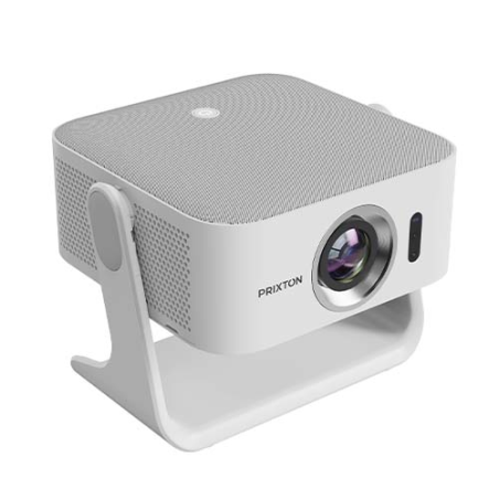 Projecteur Prixton Renoir