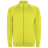 Sweat-shirt personnalisable pour homme en polyester 210g/m2 à fermeture éclair intégrale Valier