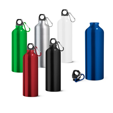 Gourde en aluminium personnalisée avec mousqueton 800 mL - LANDSCAPE L
