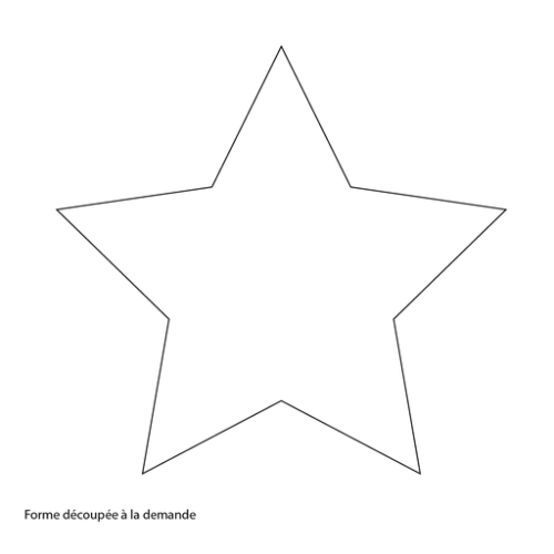 _PIN2 Pin's personnalisé forme à la découpe et emaillage surfacée - Marquage en résine de synthèse surfacée Marquage en résine de synthèse surfacée (Couleurs max : 4, Surface max : N/A) - Recto (L: 40, H: 40)