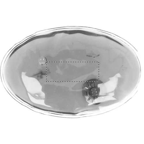 MO8496-22_POS2.jpg