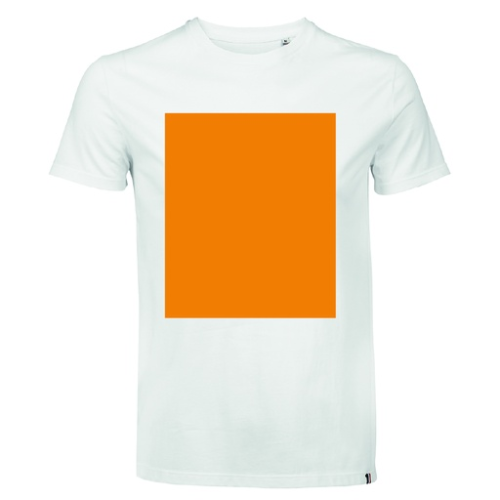 False T-shirt personnalisabe en coton jersey 150g col rond Fabrication Française - S à 3XL - LEON - DTF Pubos 2026 DTF (direct to film) (Couleurs max : Full color, Surface max : N/A) - Poitrine (L: 280, H: 400, S: 1120)