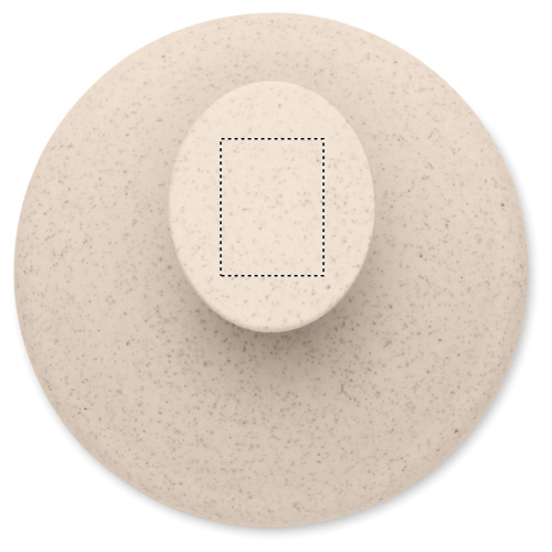 MO3164-13_POS1.jpg